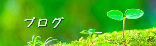 こう鍼灸院ブログ